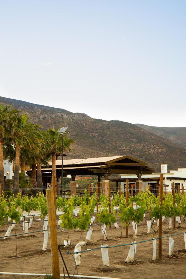 Limbo Hotel Boutique Valle de Guadalupe Εξωτερικό φωτογραφία